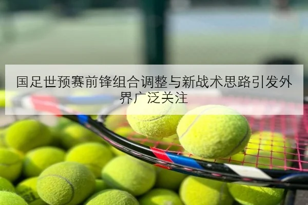 樊振东新周期状态与马龙接班话题再度升温的深度观察